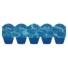 Blister Biomedics 1 day Extra CooperVision Blister Biomedics 1 day Extra CooperVision